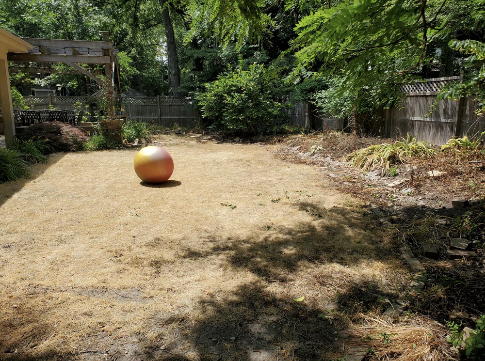 Before: bare soil and uneven yard